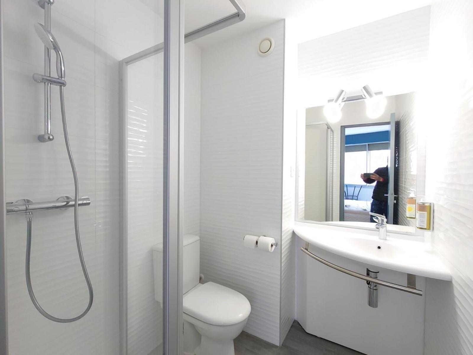 Greet Hotel Grenoble Centre Gare Екстер'єр фото